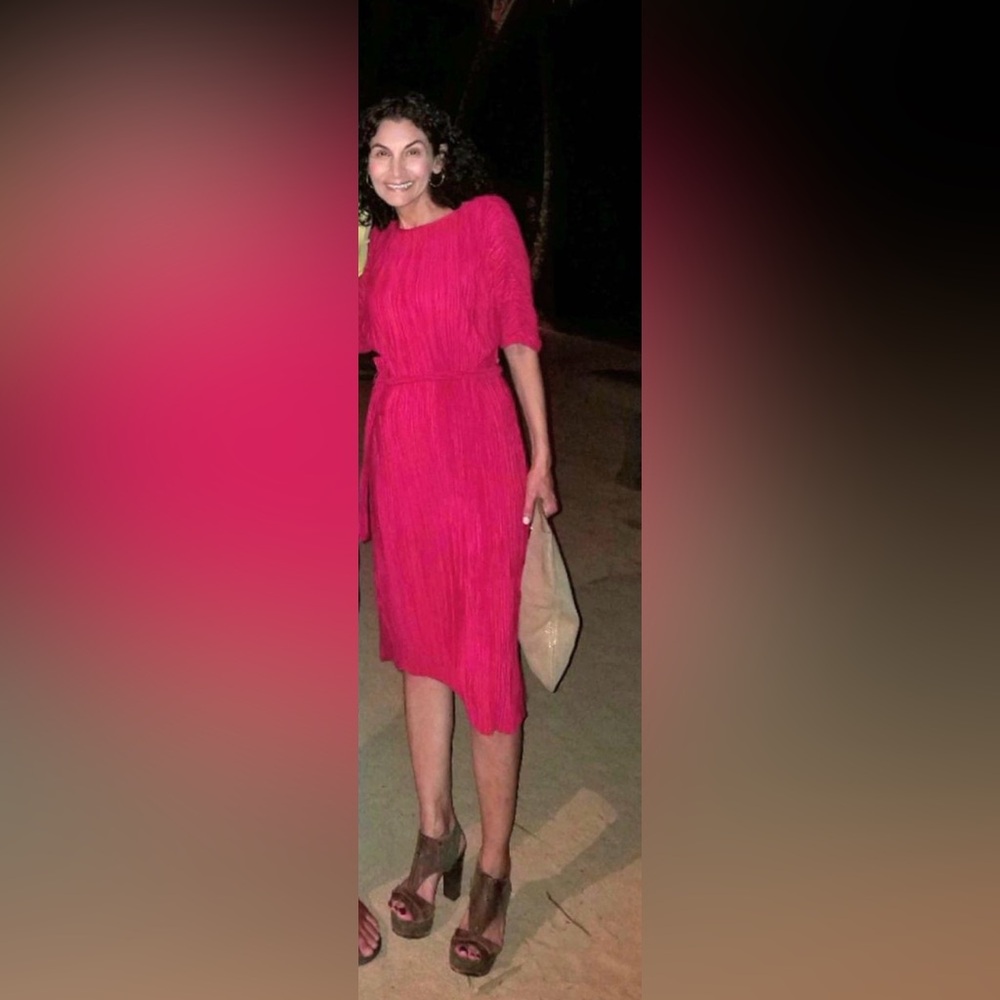 Anthropologie Dark Red Dress